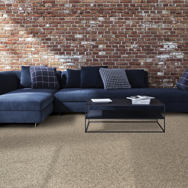 Lonsdale Flooring providing stain-resistant pet proof carpet in North Vancouver, BC - Hl101 - 829